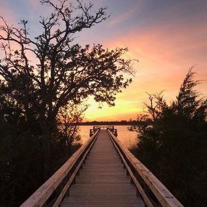 Meet your Posher, Rusty